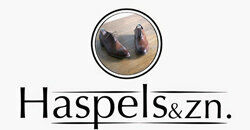 Haspels&zn. Maatschoenmakers